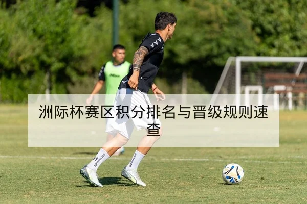 世界杯淘汰赛赛程与点球概率查询